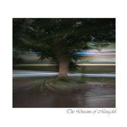 dailyPhoto2